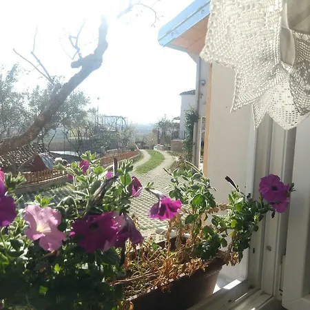 Agroturizem Marku Shkodër