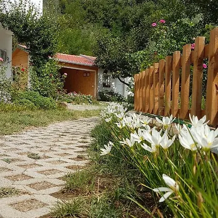 Agroturizem Marku *