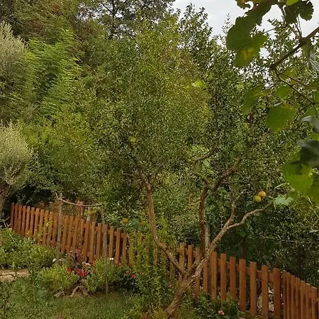 Agroturizem Marku *