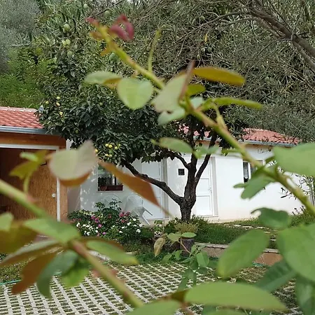 Agroturizem Marku * Shkodër