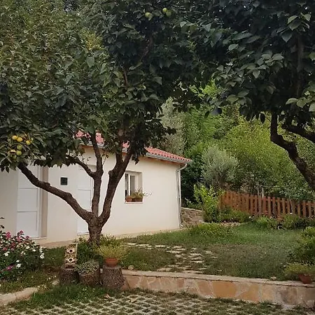 Affittacamere Agroturizem Marku
