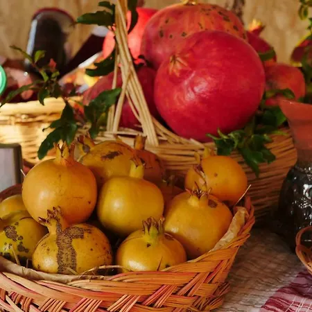 Agroturizem Marku بيت ضيافة شكودر