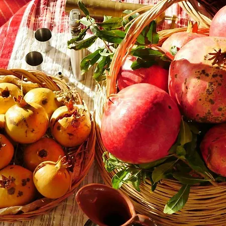 بيت ضيافة Agroturizem Marku *
